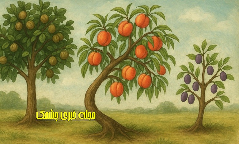 داستان درخت هلو
