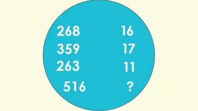 افراد نابغه و باهوش این معما را در 10 ثانیه حل کردند؛ شما چه رکوردی را ثبت می کنید؟