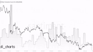DOGE: نهنگها عقب کشیدند، سرمایه گذاران خرد وارد شدند
