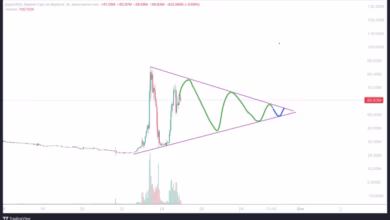 PIPPIN/USDT رشد 345% از کف هفتگی؛ آیا زمان خرید است؟