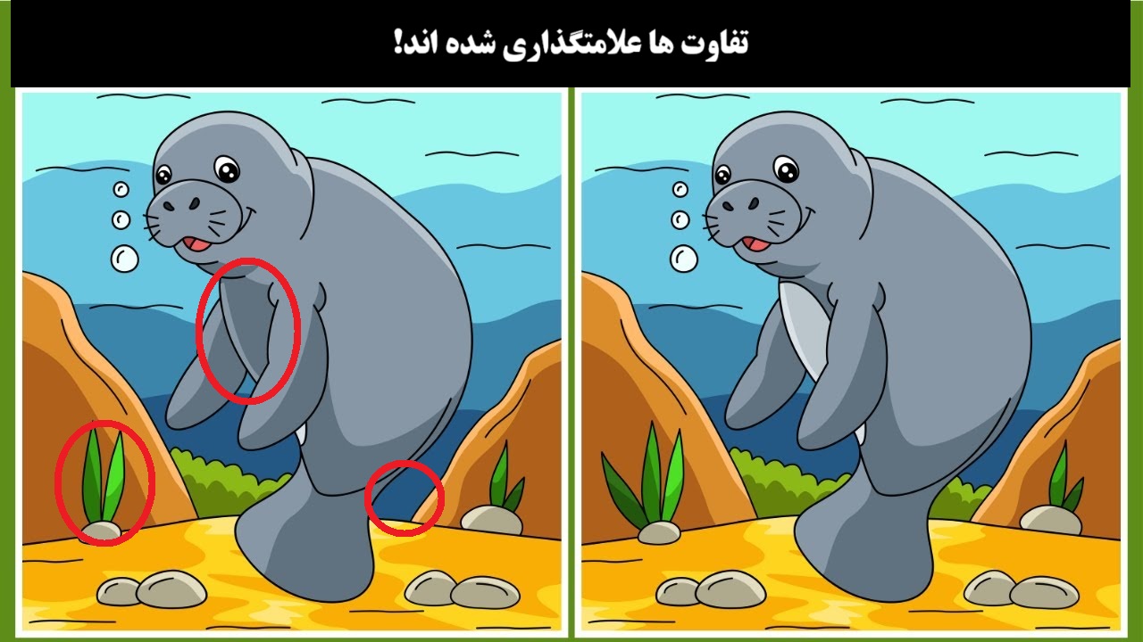 آزمون شناسایی تفاوت دو تصویر فک